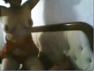 coroa na webcam (mature girl on cam)
